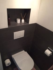Toilet project 9